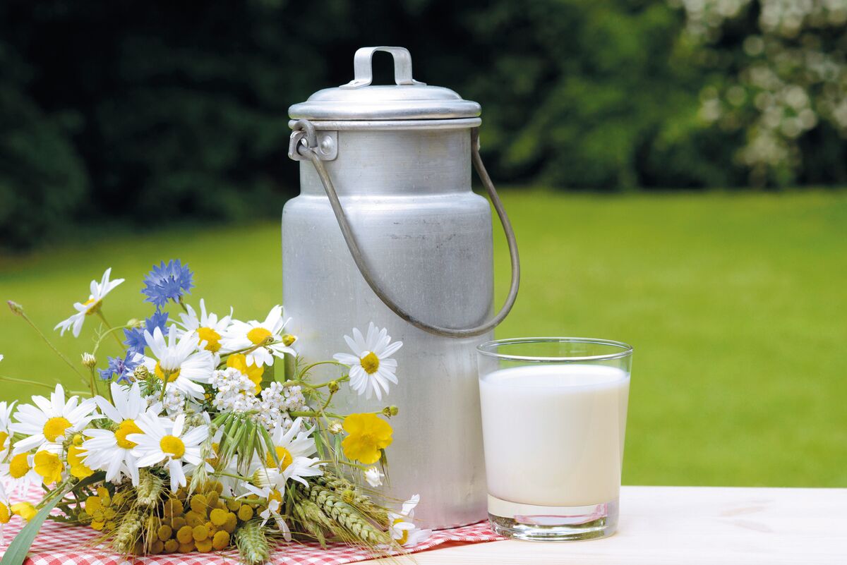 Kleine Milchkunde