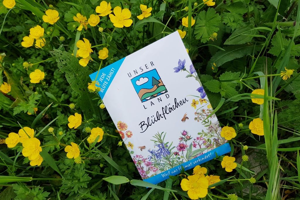 BRUCKER LAND Blühflächen