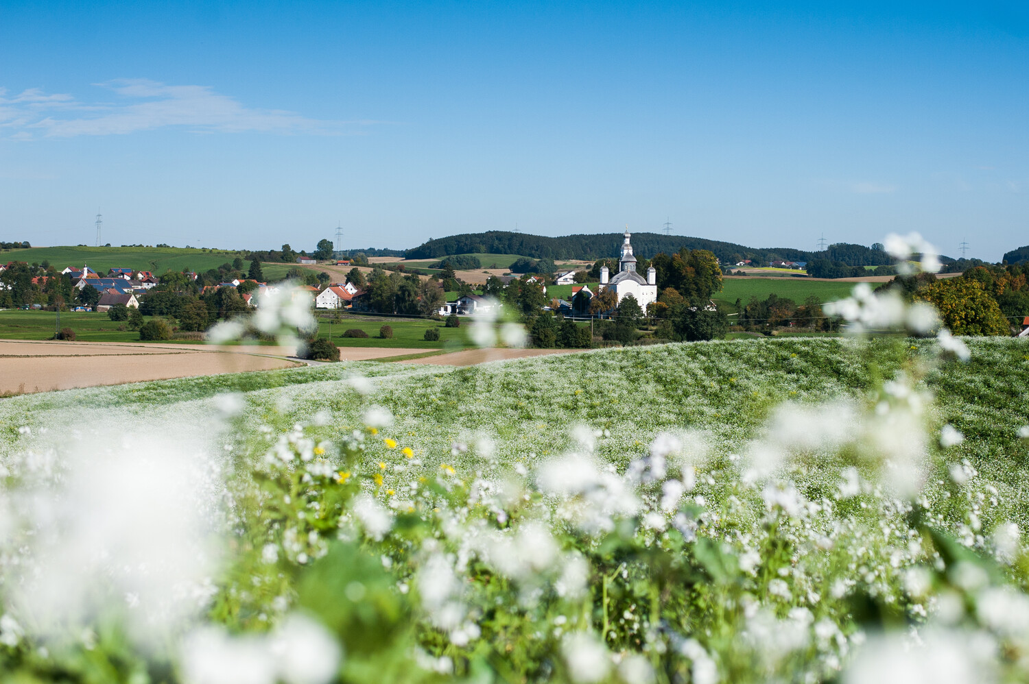 20210723 Blick Von Schafhausen