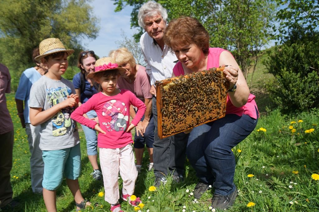 STARNBERGER LAND Schule auf der Streuobstwiese