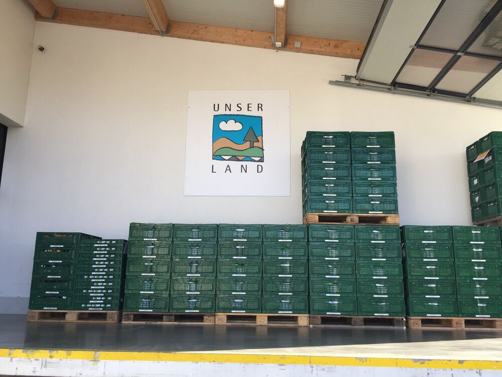 Lager Logistik2